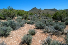 Grand Canyon Land For Sale
