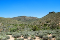 Grand Canyon Land For Sale
