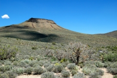 Expansive Views to the East
