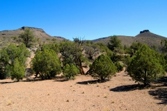 Grand Canyon Land For Sale